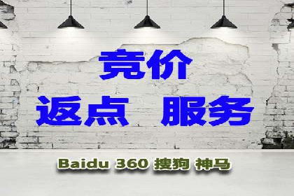 深入了解SEM代运营服务公司的策略与技巧